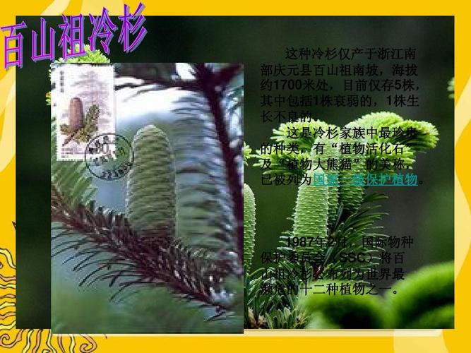 中国珍稀濒危植物信息系统