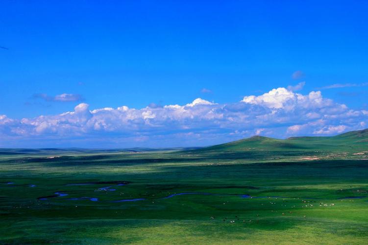 内蒙古草原图片大全大图