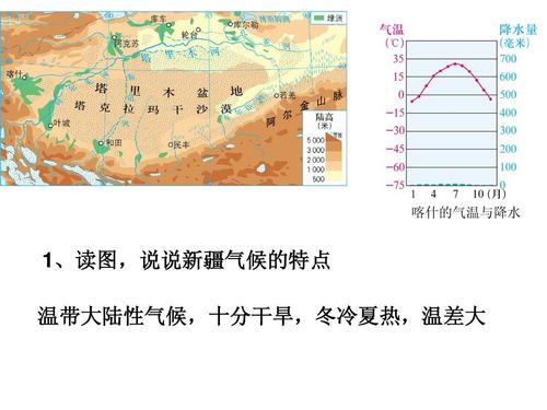 新疆的气候类型