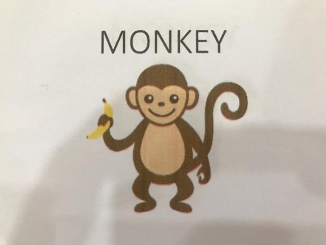 猴子的英文怎么写